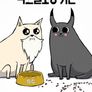 익스플로딩 키튼
