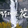백두대간花