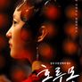 홍루몽