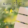 도시의 선물, 벤치