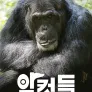 다큐프라임 - 암컷들