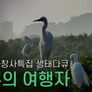 지구의 여행자