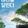 바다를 달린다
