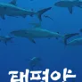 다큐프라임 - 태평양