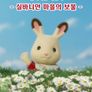 실바니안 패밀리 - 실바니안 마을의 보물