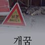 개꿈