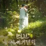 러브 사이키델릭