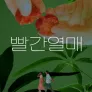 빨간열매