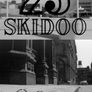 23 Skidoo