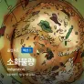 소화불량