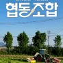특별기획 함께하는 역동경제, 협동조합