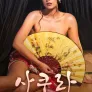사쿠라