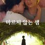 마르지 않는 샘
