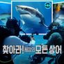 찾아라! 세상의 모든 상어