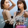 셔플 아일랜드 시즌 4