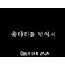 울타리를 넘어서