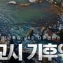 신년 특집 UHD 다큐멘터리 0교시 기후 위기