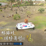 광복 80주년 특집 다큐 하와이 8.15km 대한 독립의 길