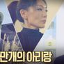 700만개의 아리랑