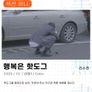 행복은 핫도그