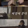 바람이 분다