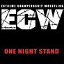 WWE 원 나잇 스탠드 2005