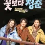 꽃보다 청춘 : 리미티드 에디션