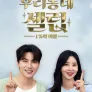 우리동네 셀럽 1%의 비밀