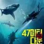 47미터 다운