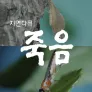 다큐프라임 : 자연다큐 죽음
