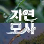 다큐프라임 : 자연모사