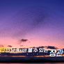 와일드 코리아 스틸컷