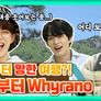 빅포레스트 스틸컷