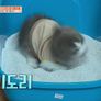 마리와 나 스틸컷