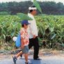 기쿠지로의 여름 스틸컷