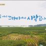먹고자고먹고 끄라비편 스틸컷