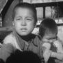 벌집의 아이들 스틸컷