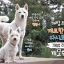 개밥 주는 남자 개묘한 여행 스틸컷