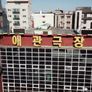 보는 것을 사랑한다 스틸컷