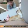 우리 집에 해피가 왔다 스틸컷