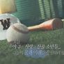 야구해도 괜찮아 스틸컷