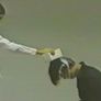 세포분열 스틸컷