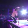 NJPW 뉴 재팬 프로레슬링 스틸컷