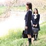 벚꽃동산 스틸컷