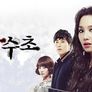 노란 복수초 스틸컷