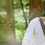 포레스트 스틸컷
