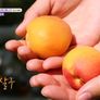 6시 내고향 스틸컷