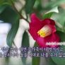 특집 2부작 입도의 길 스틸컷