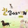 잘살아보시개 시즌 2 스틸컷