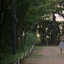여름 손님 스틸컷